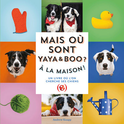 Mais où sont Yaya et Boo ? À la maison !