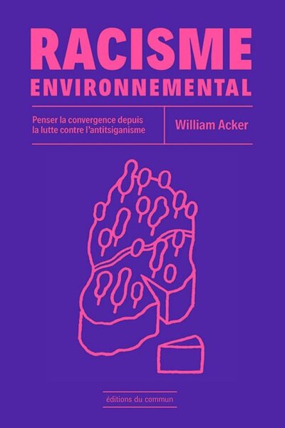 Racisme environnemental