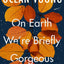 Ocean Vuong On Earth We're Briefly Gorgeous /anglais