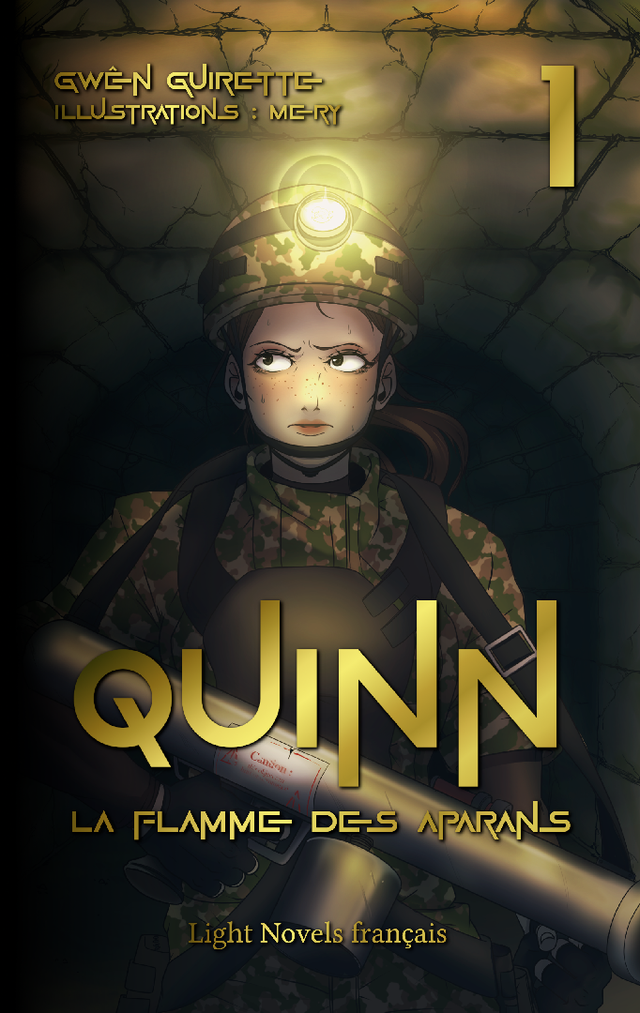 Quinn - Livre 1