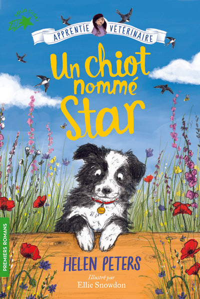 Un chiot nommé Star