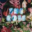 The Rose: A Circular Genealogy of Collage