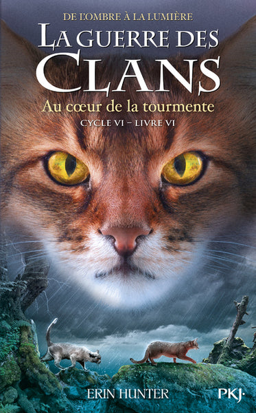 La guerre des clans, Cycle VI - Tome 6 Au coeur de la tourmente