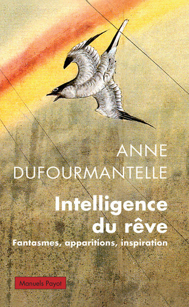 Intelligence du rêve