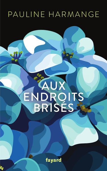 Aux endroits brisés