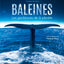 Baleines - Les gardiennes de la planète