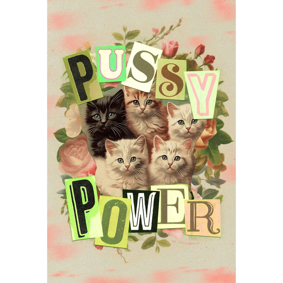 Puzzle 1000 pièces - Pussy Power