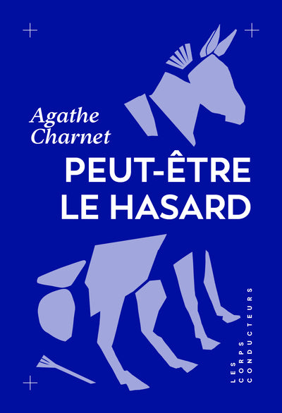Peut-être le hasard - Prix littéraire du Nouvel Obs 2026