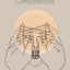 Conjurations