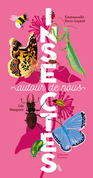 Insectes autour de nous