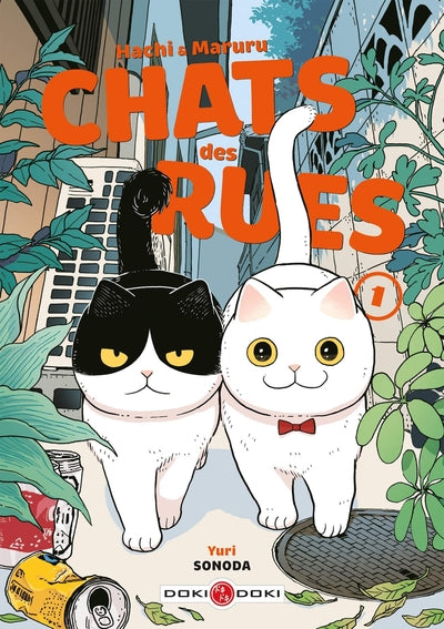 Hachi & Maruru - Chats des rues - vol. 01