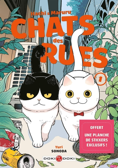 Hachi & Maruru - Chats des rues - vol. 01 - nouvelle édition limitée