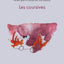 Les coursives
