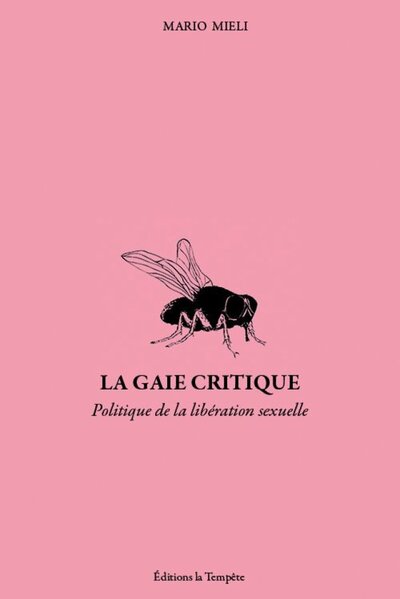La gaie critique - politique et libération sexuelle dans les années soixante-dix