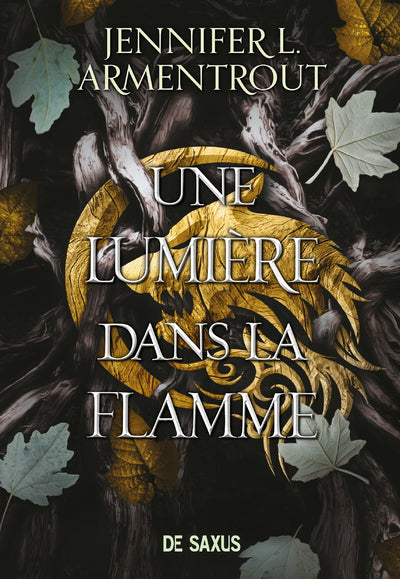 Une Lumière dans la flamme (Une ombre dans la braise tome 2)