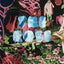 The Rose: A Circular Genealogy of Collage