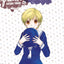 Fruits Basket Perfect T04