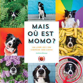 Mais où est Momo ?