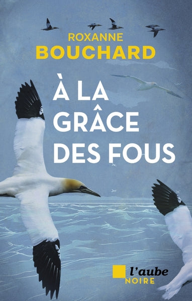 À la grâce des fous