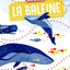 Suis du doigt la baleine