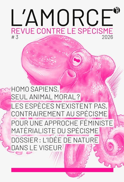 L'amorce n°3