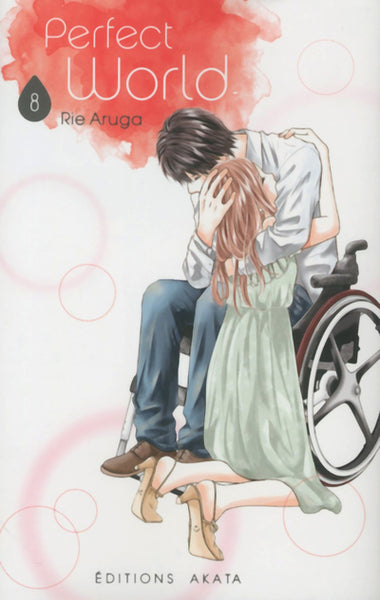 Perfect World - Tome 8 (VF)