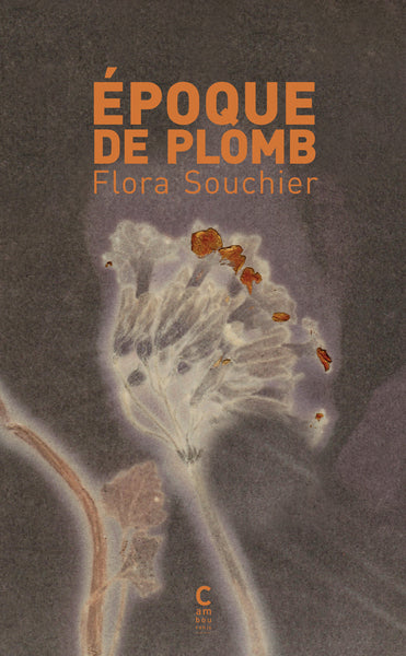 Époque de plomb