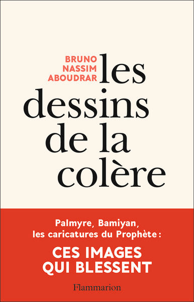 Les dessins de la colère